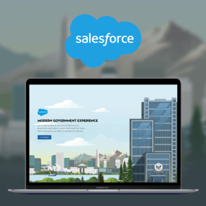 Salesforce project page.