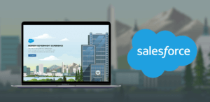 Salesforce Project Page.